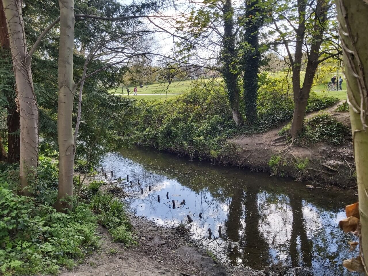 The river Ravensbourne in Ladywell Fields